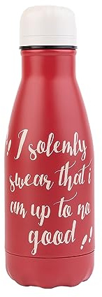 Grupo Erik - Bouteille Isotherme Harry Potter 260ml | Acier Inoxydable et Sans BPA