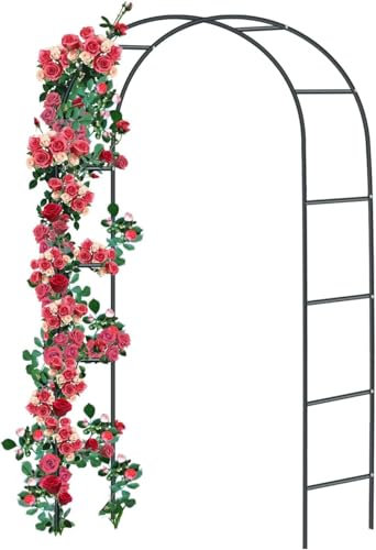Relax World Arco per Piante Rampicanti da Giardino Supporto Per Rose in Metallo Laccato a Polvere di Colore Verde,Dimensioni L140 x P35 x H240