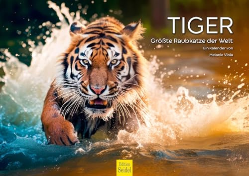 Edition Seidel Calendario Premium Tiger 2026, formato DIN A3, calendario de pared, calendario de animales, el gato depredador más grande de África, cachorro, gato, depredador, animales salvajes