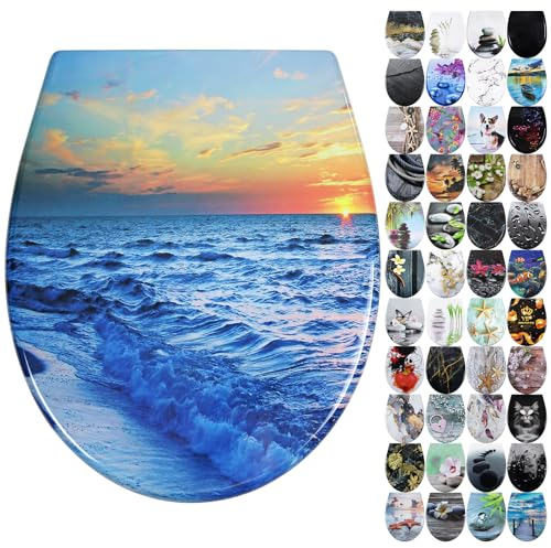 Fanmitrk Duroplast Toilet Seat Soft Close -Quick Release Toilet Lid with Top Fixing,Various Patterns to Choose from (UF819-02)