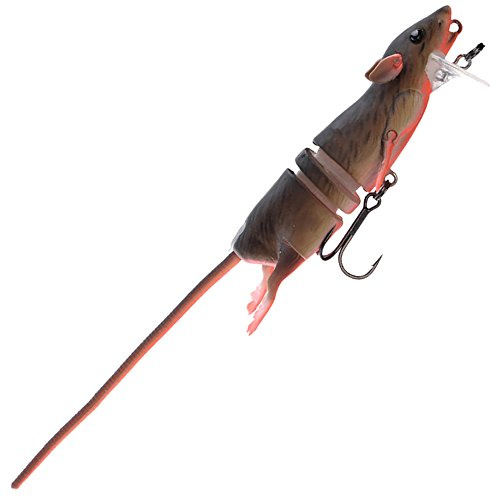 Savage Gear 3D Rad Ratte, Kunstköder im Ratten Design, Rattenimitat, Hechtköder, Angelköder zum Spinnfischen, Ausführung:Ratte komplett 20cm 32g Bloody Red Belly