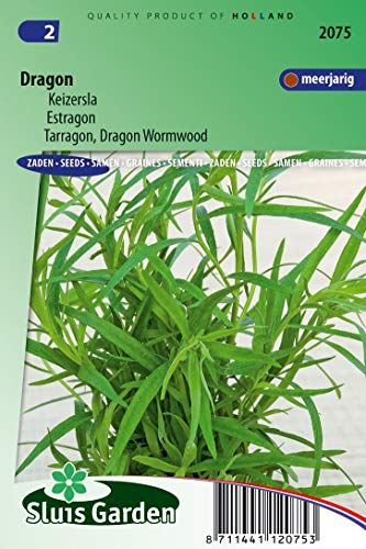 Tarragon, Dragon Wormwood Seeds