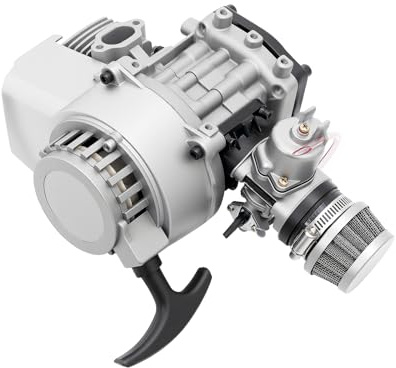 Benzinmotor 2-Takt Mini Benzin Motor | Luftgekühlt Einzylinder | 1.9KW 49CC | Kartmotor Gokart Motor für Dirt Bike Motorräder