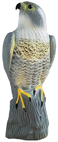 Succsale-BRADAS - Repellente per uccelli, 17/17,5/41 cm, colore grigio falco, dimensioni: 17/17,5/41 cm