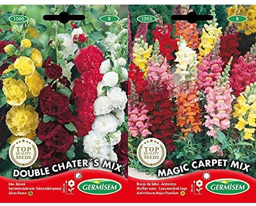 Germisem Graines Rose trémière double variée Double Chater´S Mix+Magic Carpet Mix Graines de Snapdragon 0.8 g