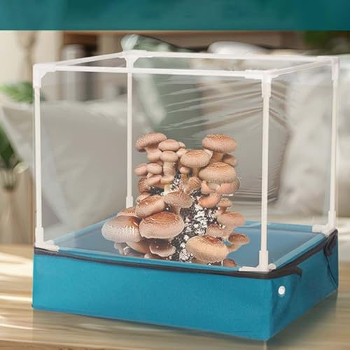 Caja de plantación de setas, cobertizo transparente plegable para cultivo, tienda de cultivo de hongos portátil, invernadero de plantas suculentas para interiores (casa de setas)