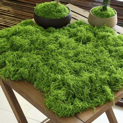 MonoSora Realistic Artificial Moss Grass Mat for Miniature Landscaping 2 pcs 200g Light Dark Green Synthetic Turf for Terrariums Floral Arrangements Potted Plants