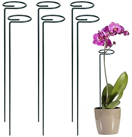 FT-SHOP Pflanzenstütze Staudenhalter Strauchstütze Stahl Garden Single Stem Stützring für Pflanzen Blumen Gemüse 40cm 6 Stücke