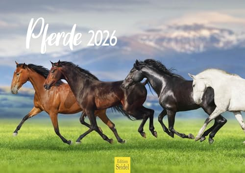 Edition Seidel Calendario premium de caballos 2026, formato DIN A3, calendario de pared, calendario de caballos, animales, potro, yegua, semental, pony