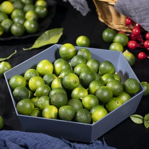 kumquat baumsamen bonsai topf exotische zimmerpflanzen pflanzensamen obstbäume kaufen winterharte kübelpflanzen spalierobst säulenobstbäume dachbegrünung büropflanzen balkongarten 350samen
