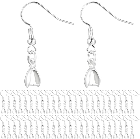 Teaaha 50 Stück Silber Ohrhaken, Ohrhaken Edelstahl Ohrring Rohlinge DIY Ohrringe Hypoallergene Ohrhaken Selber Machen Ohrring Verschlüssen Und Biegeringen Für DIY Ohrhänger Schmuckherstellun