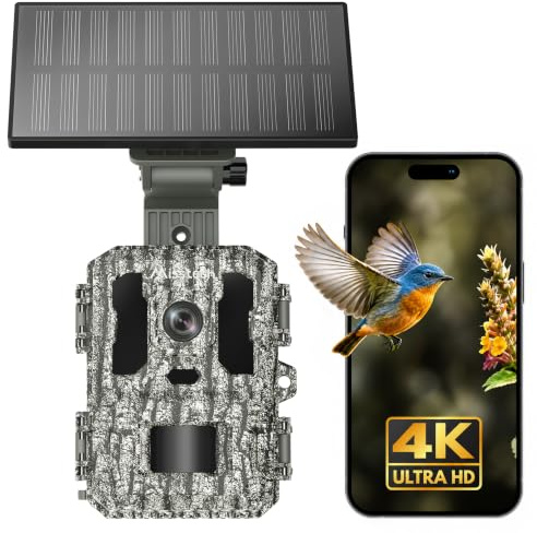 Misstech Caméra solaire 4K UHD pour la surveillance du jardin, caméra de chasse avec activation rapide de 0,1 s pour enregistrer les animaux, vision nocturne claire 64 MP/4K, pas de frais mensuels