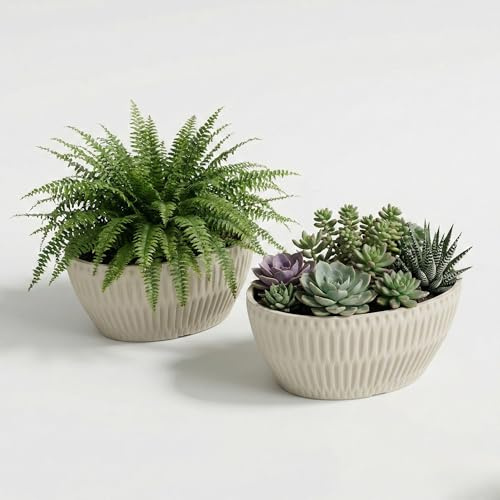 Perimvo Macetero ovalado, juego de 2 unidades, solo 10 cm de profundidad, gris claro y blanco | Por fin una maceta que realmente encaja · Forma ovalada, solo 23 × 11 cm · se adapta a cualquier alféizar de ventana estrecho