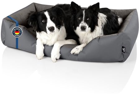 BedDog Hundebett Zara, Hundekissen mit abziehbaren waschbaren Bezug, Hundekorb, Hundesofa, für große Hunde, XXL