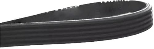 Cinghia di trasmissione a coste per compressori e tapis roulant, modello PJ, 5, 7, 10 opzioni a coste, 1 pezzo (343 mm x 8), cinghia di ricambio resistente e ad alte prestazioni