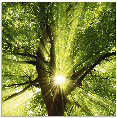 ARTland Wanddeko Glasbilder Wandbild Glas Bild einteilig Quadratisch Wald Natur Botanik Bäume Laubbaum Sonne Baum Sommer T5GQ