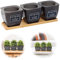 Maceta Hierbas Riego AutomáTico Autorriego Plantador Interior Exterior Tiesto Plantas Plantador Suculentas Maceta PláStico Riego AutomáTico para Hierbas AromáTicas Interiores Y Ventanas 3 Piezas