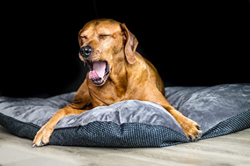 Lebon - Orthopädisches Hundekissen Hundebett Jolie - Dick gefülltes Kuschelweiches Kissen in 4 Größen 60cm, 80cm, 100cm und 120cm - Mit Reißverschluss und waschbar Hochwertig und robust (L)