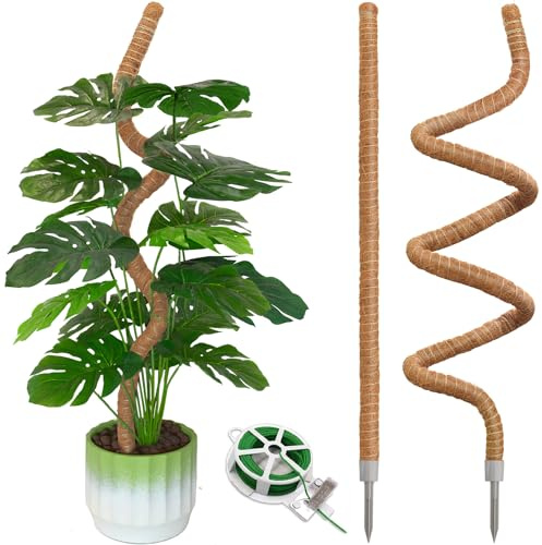 Ledanba Lot de 2 bâtons de mousse de 140 cm – Bâtons en mousse pour plantes grimpantes Monstera – Grand support de plante Monstera – Poteau en mousse pliable pour plantes Monstera – Support pour