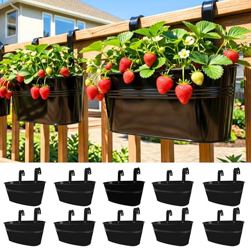 LaLaGreen Rail planterare utomhus – 10-pack, 30 cm svart metall järn hängande blomkrukor däckräcken staket hinkar modern landsbygd boho-stil väggmontering fönsterlåda växthållare krokar veranda dekor
