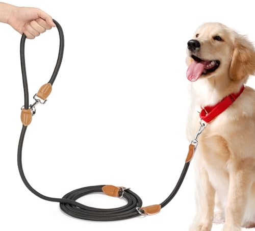 PETCOOZ 3 m Justerbart Spårlina för Medelstora & Stora Hundar (20–60 kg), Mjukt Handtag, 2 Karbinhakar & Säkerhetsringar, Multifunktionell Dubbelkoppel i Slitstark Nylon