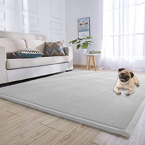 DG Catiee Korallen-Samt-Teppich, große Spielmatte, rutschfeste Krabbelmatte, Bodenmatte, Teppich, Tatami, Yoga, Haustiermatte für Wohnzimmer, Schlafzimmer, Küche (50 x 100 cm, grau)