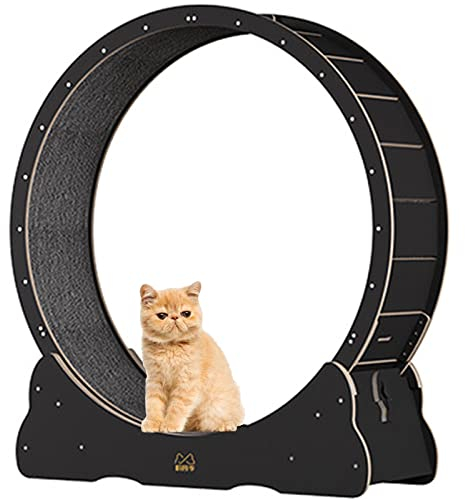 BLANKX Katzenlaufrad für Wohnungskatzen, Leises Kleines Mittelgroßes Laufrad für Katzen, Kleine Lücke Haustier Katze Laufrad Spielzeug mit Bremse,M-Black
