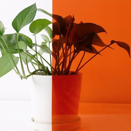 ACESOME Sichtschutzfolie Fenster, Fensterfolie Transluzent Folie Für Fenster Fensterfolie Buntglas, Sonnenschutzfolie Selbstklebend Spiegelfolie Wärmeschutzfolie UV Schutzfolie (Orange, 50 x 100 cm)