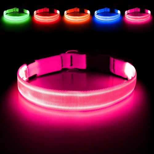 Illumifun Leuchthalsband Hund, USB LED Hundehalsband, Wiederaufladbar Hundehalsband Leuchtend für Hunde Einstellbare Größe, 3 Beleuchtungsmodi für Mittelgroß Hunde (Pink, M)