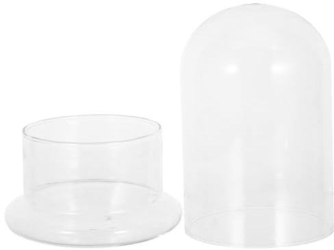 POPETPOP Terrarium Verre Transparent Jardin Écologique DIY pour Intérieur Vase Hydroponique Compact pour Mosses et Petits Espaces