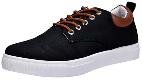 Genérico Zapatos de Lona para Caminar de caña Baja para Hombre, Zapatos Casuales de Moda con Cordones
