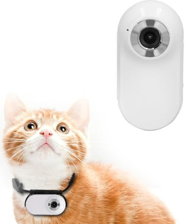 Plyisty HD 1080P Katzenhalsband-Kamera, Little-Körperkamera für Katzenhunde, Kleine Action-Kamera, Drahtlose Little-Sportkamera für Videoaufnahmen, Haustierkamera für Welpenbedarf/-zubehör