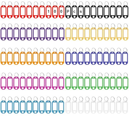 100 Stück Schlüsselanhänger,Kunststoff Schlüsselanhänger mit Etiketten,Schlüsselschilder Beschriftbar mit Schlüsselringen für Schlüssel, Zuhause, Büros, Pet ID, Koffer,Gepäckanhänger(10 Farben)