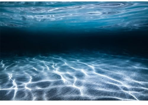 MIRRORANG 76x46cm Unterwasser-Thema Aquarium Hintergrund Unterwasserwelt Aquarium Hintergrund Aquarium Hintergründe Hintergrund