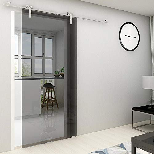 Kit Porta Scorrevole da 5,5FT / 167 cm con Binario Scorrevole, Acciaio inossidabile Armadi Scorrevoli Kit, per Porta Scorrevole a Vetro Singolo