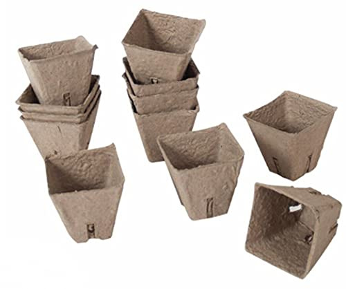 Rammento 120 vasi ecologici biodegradabili per piantine, vasi quadrati in fibra da 6 cm per un facile trapianto, perfetti per iniziare la crescita delle piante all'interno o in serra, soluzione