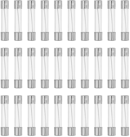 QUARKZMAN 30 Stücke Glassicherung 20A 250V Schnellsicherung Für Auto | Metall, 6x30mm, Silber, Transparent, Überstromschutz, Gute Leitfähigkeit, Deutlich Gekennzeichnet