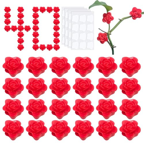 Theiuaoqwe 40 Stück Pflanzenclips Wand Pflanzenclips Pflanzenhalter Wand Pflanzen Clips Wand Pflanzenhalter Gartenarbeit Pflanzenclips Pflanzenhalter für Reben für Glaswände Plastikfliesenwände