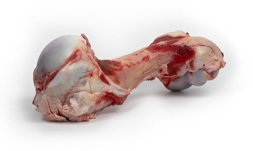 DIBO Kalbsröhren-Knochen 5 Stück - Barf - Fleischknochen für Hunde - Deutsche Herstellung!