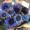 200 Stück sonnenblumen samen blau - Seltene Pflanzen serie - saat blumensamen balkon blumendeko steingartenpflanzen winterhart seeds blumenwiese mehrjährig bienenwiese saatgut bodendecker