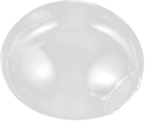 GLEAVI Glas Wandvase Für Zimmerpflanzen Hydrokultur Vase Wandmontiertes Terrarium Blumenvasen Für Balkondekor Wandbehang Aus Transparentem Glas