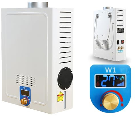 Chauffe-eau électrique instantané sans réservoir pour douche extérieure DC12V 40W, mini chauffe-eau diesel 3,6L, consommation maximale de carburant 1L/H, 0,2-0,6 MPa, pour camping, camping-car