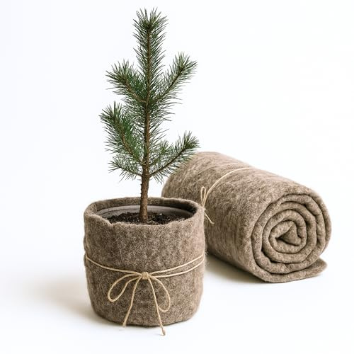 UNIGARDIA Öko-Schafwollmatte, Schneckenschutz & Unkrautvlies 80 x 500 cm | Biologisch abbaubarer Pflanzenschutz für Hochbeet & Garten, natürliche Schneckenbremse aus 100 % Schafwolle