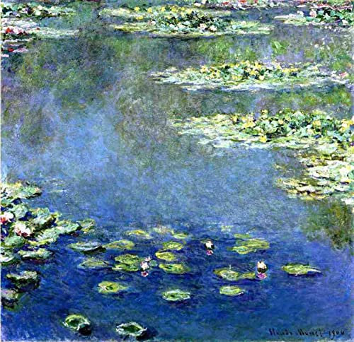 Paint by Numbers for Adults DIY Oil Painting Kits Water Lilies Claude Monet Painting by Number Drawing On Canvas Art Decor Gifts