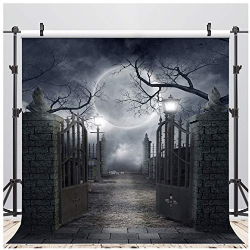 AIIKES 10x10FT Retro-Stil Halloween-Thema Malerei Vinyl Fotografie Hintergrund Schwarz Fotografie Hintergrund Mond Foto Hintergrund Studio Requisiten 10-704