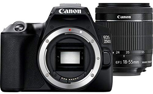 Digital Camera EOS 250D with EF-S 18-55 mm f/4-5.6 IS STM Lens - Black
