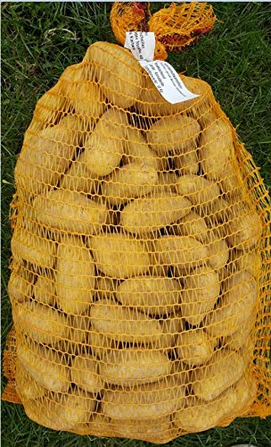 Wetterauer Frühkartoffeln im handlichen 10Kg Sack- Annabelle- vorwiegend festkochend