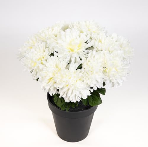 Seidenblumen Roß Chrysantheme 26cm weiß im Topf DP Kunstpflanzen künstliche Pflanzen Blumen Kunstblumen