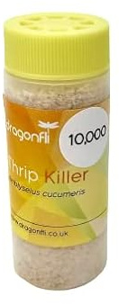 Thrip Killer Mites - Amblyseius cucumeris Predators Control Thrip Larvae & Eggs (10000)