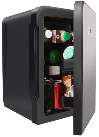 Mini Frigo Cosmetique 10L, Maquillage Petit Frigo110-240V/12V Mode Silencieux, Fonction Chaud/Froid pour Aliments Boissons Médicaments Cosmétiques pour Chambre, Voiture (Color : Black)